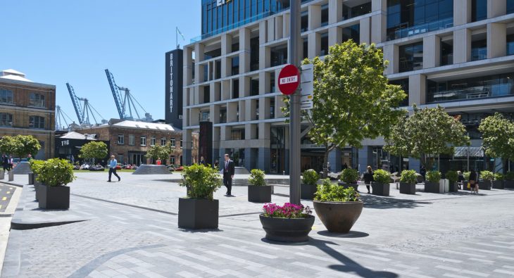 Britomart Place plants and walk way